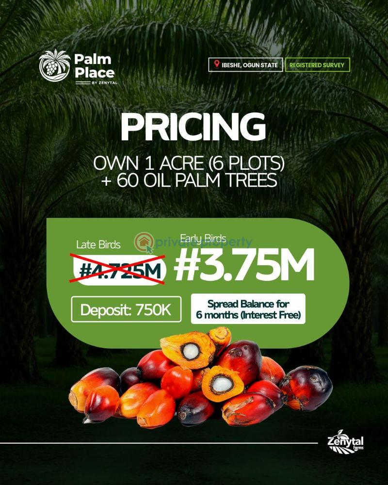 Commercial Land For Sale Palm Place Ibeshe Ogun State Ogun Ogun area  - 0