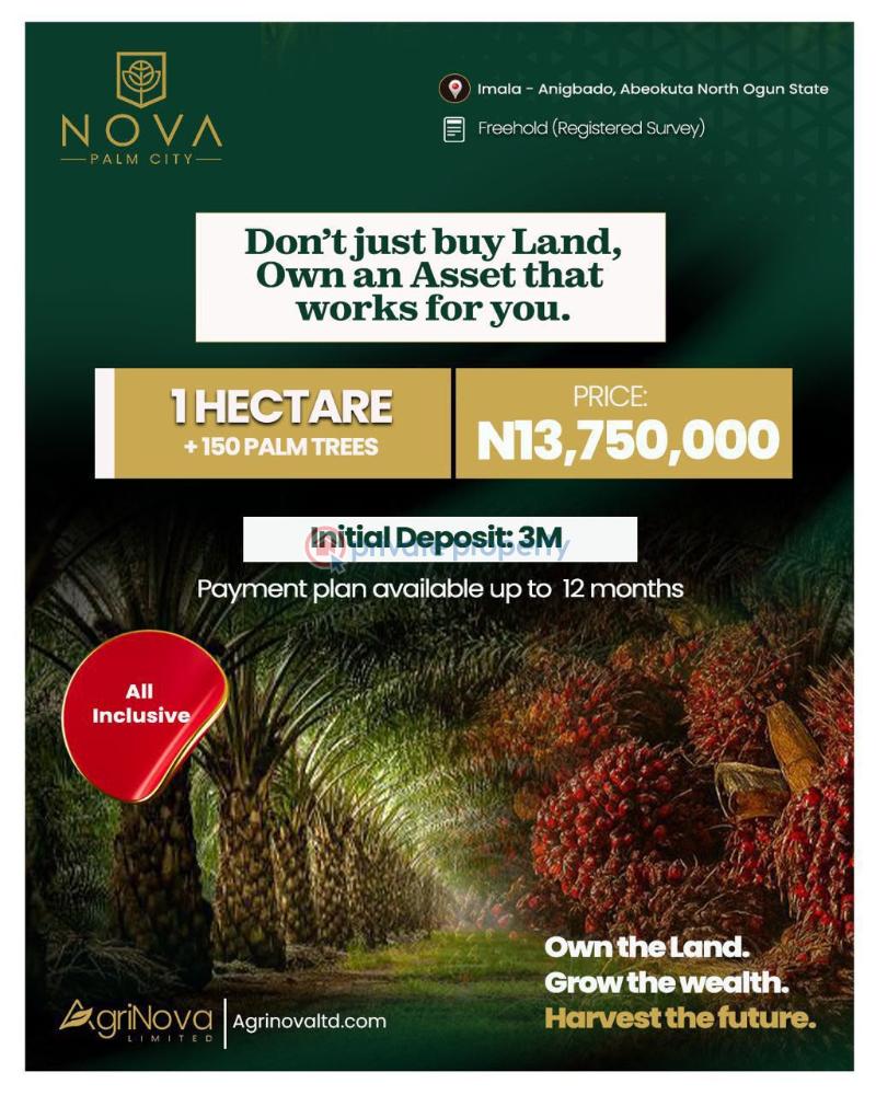 Commercial Land For Sale Nova Palm City Imala Anigbado Abeokuta North Lga Ogun State Abeokuta Ogun - 0