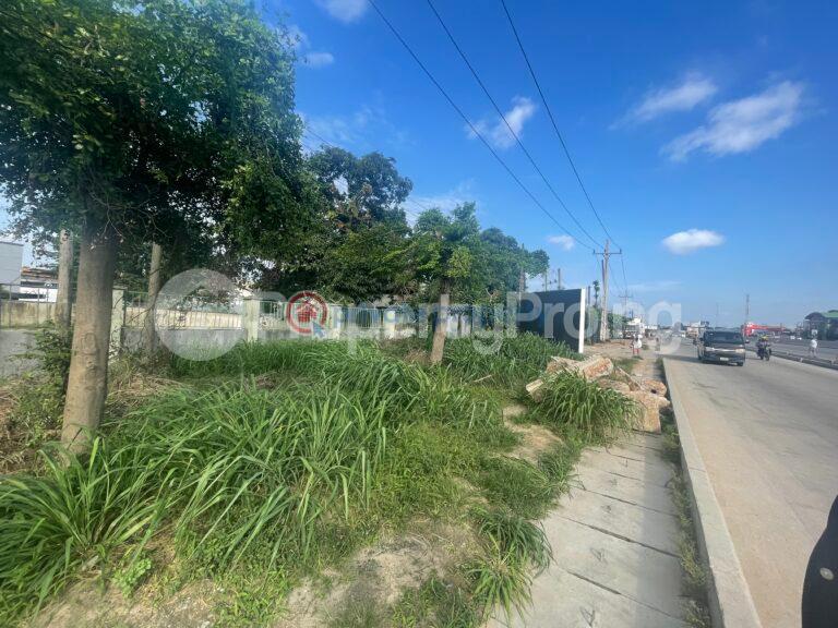 Land For Sale Directly Along Gbagada Oworonshoki – Expressway, Close To Ups Gbagada Lagos Oworonshoki Gbagada Lagos - 2