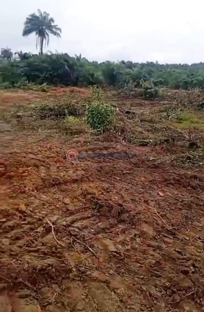 Residential Land For Sale Airview Estate Free Trade Zone Ibeju-Lekki Lagos - 1