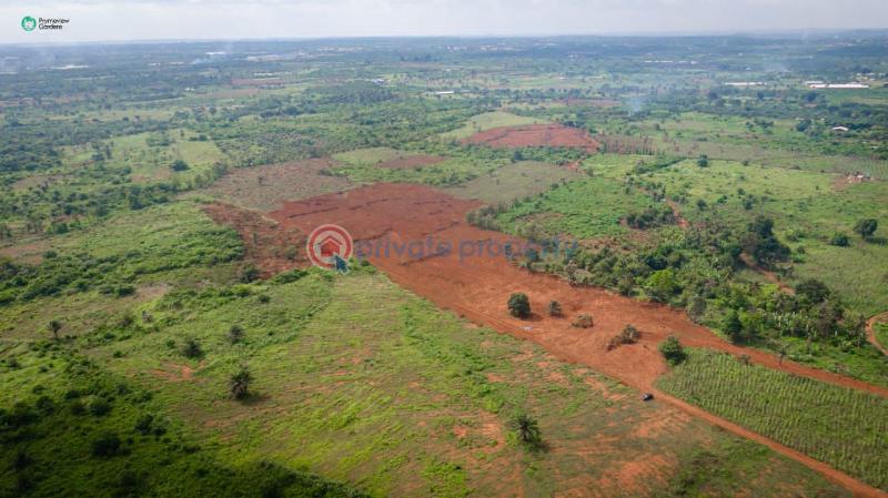 Land For Sale Obafemi Owode Ogun - 1