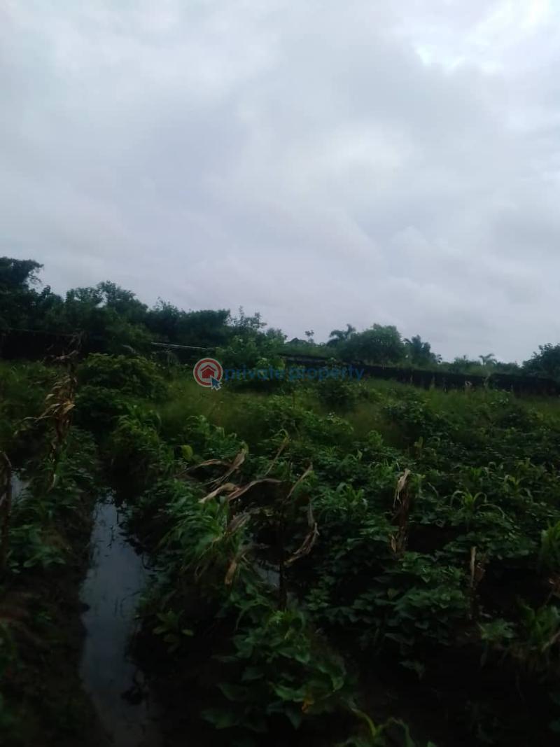 Residential Land For Sale Leday Court,adiva Estate Beechwood Ibeju Lekki Ibeju-Lekki Lagos