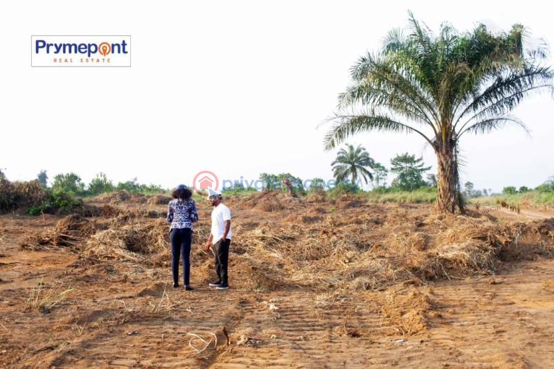 Land For Sale Elele Abara Port Harcourt Rivers - 1