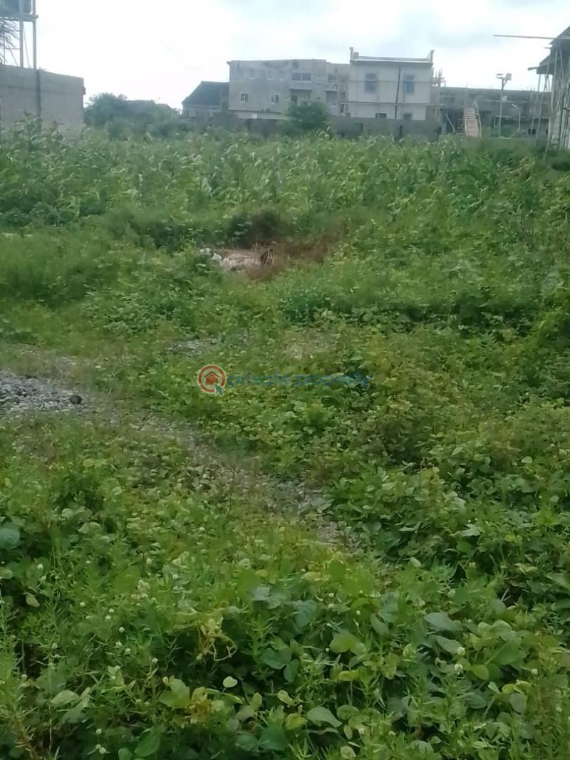 Residential Land For Sale Leday Court, Adiva Estate, Malete Beechwood. Ibeju Lekki Ibeju-Lekki Lagos - 0