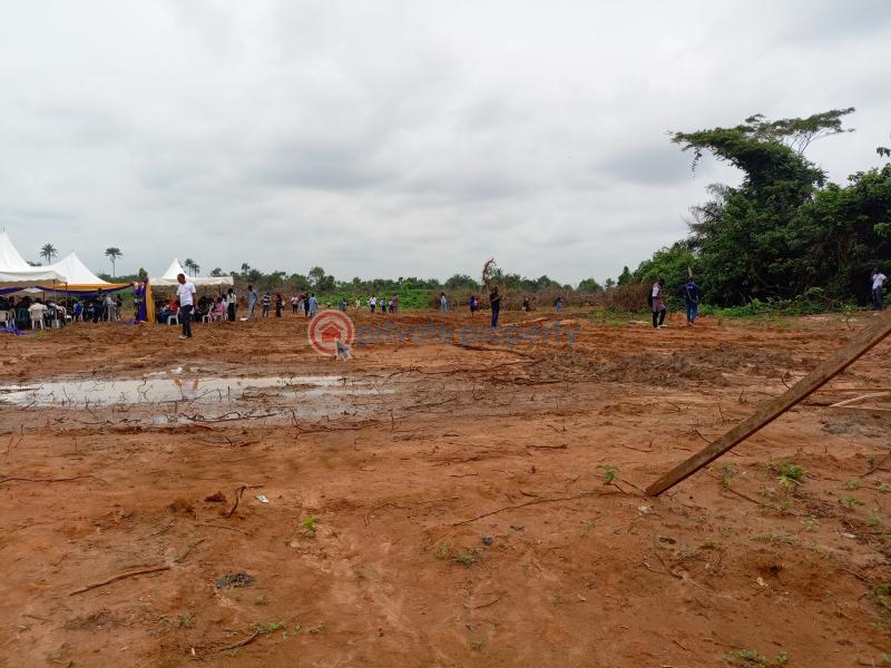 Residential Land For Sale The Pineapples Estate Agbowa Ikorodu Ogun area  - 5
