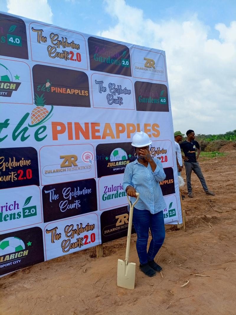 Residential Land For Sale The Pineapples Estate Agbowa Ikorodu Ogun Ogun area  - 4