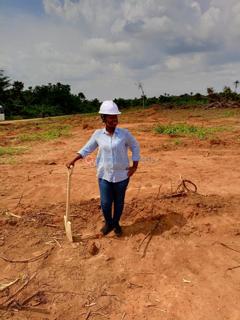 Residential Land For Sale The Pineapples Estate Agbowa Ikorodu Ogun Ogun area  - 2