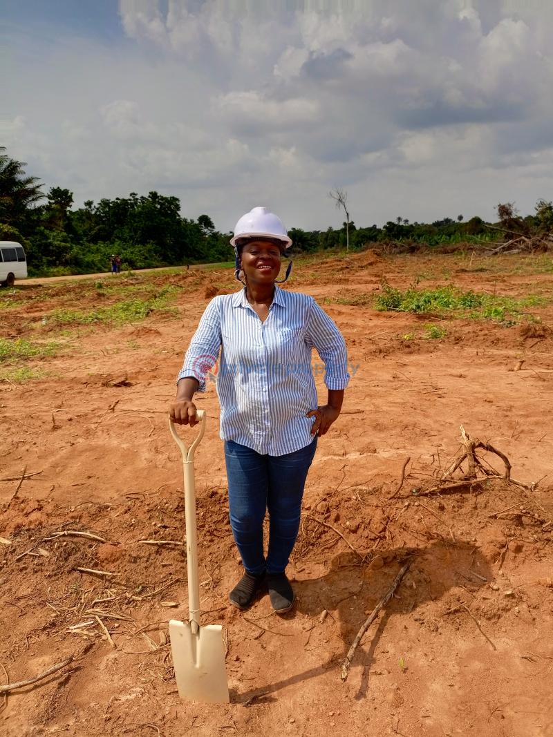 Residential Land For Sale The Pineapples Estate Agbowa Ikorodu Ogun Ogun area  - 3