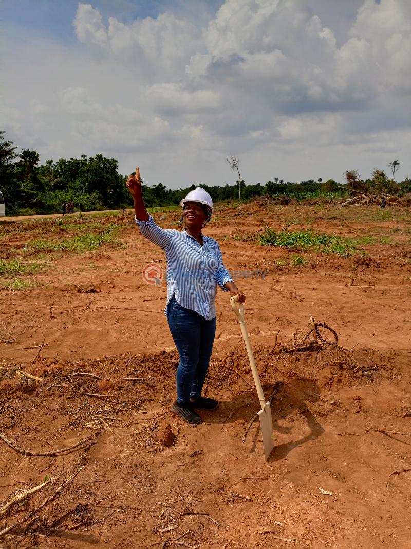 Residential Land For Sale The Pineapples Estate Agbowa Ikorodu Ogun area  - 2