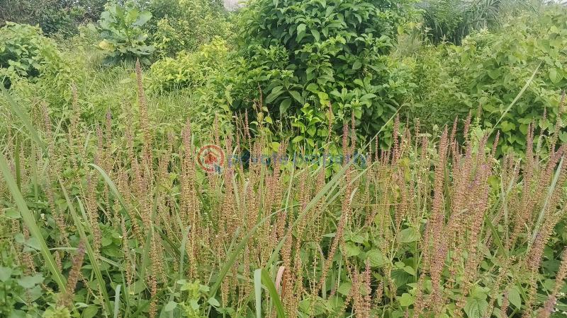 Mixed use Land For Sale Agbowa Ota Ikosi Ikorodu Lagos - 2