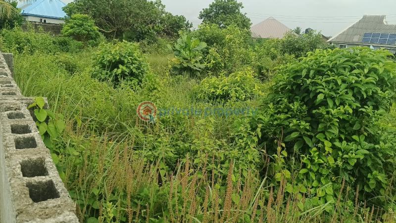 Mixed use Land For Sale Agbowa Ota Ikosi Ikorodu Lagos - 3