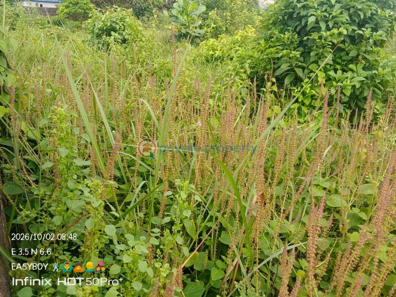 Mixed use Land For Sale Agbowa Ota Ikosi Ikorodu Lagos - 5