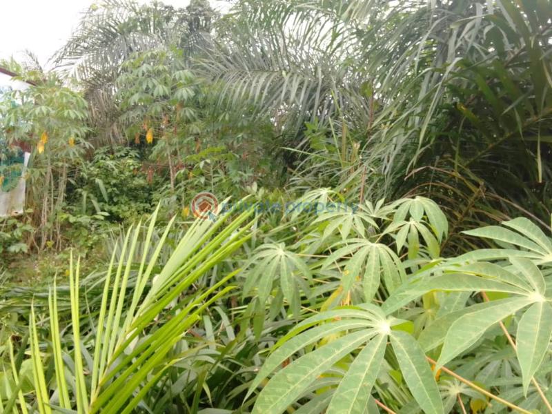 Residential Land For Sale Dangote Seaport Proposes International Airport Dangote Refinery Ilu Oba Eleran Igbe Ibeju-Lekki Lagos - 1