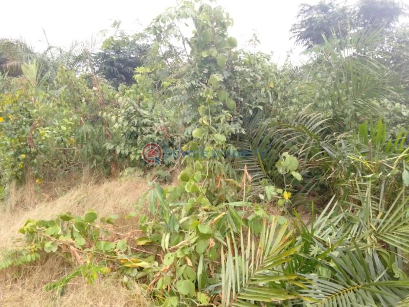 Residential Land For Sale Dangote Seaport Proposes International Airport Dangote Refinery Ilu Oba Eleran Igbe Ibeju-Lekki Lagos - 2