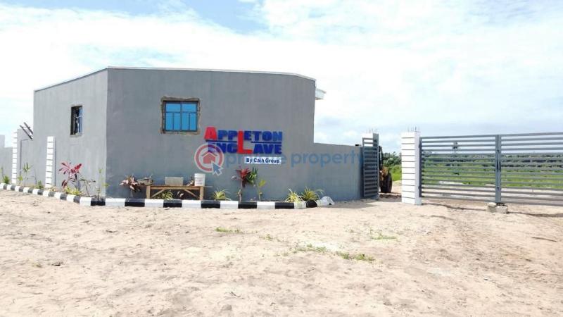 Residential Land For Sale Free Trade Zone Ibeju Lekki Free Trade Zone Ibeju-Lekki Lagos - 3