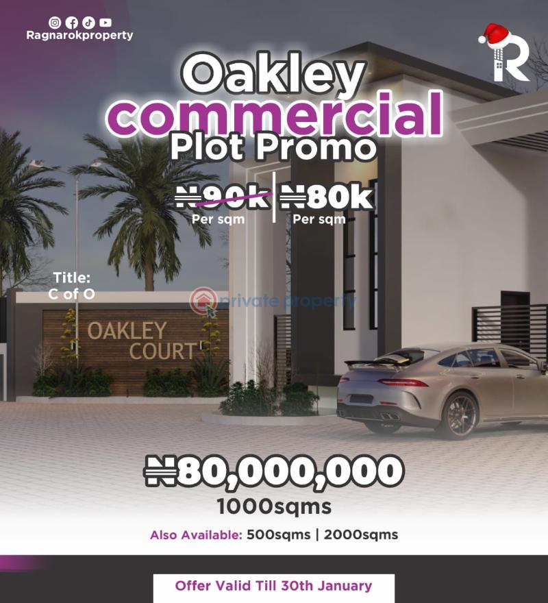 Mixed use Land For Sale Idera Scheme Eleko Ibeju Lekki Ibeju-Lekki Lagos - 3