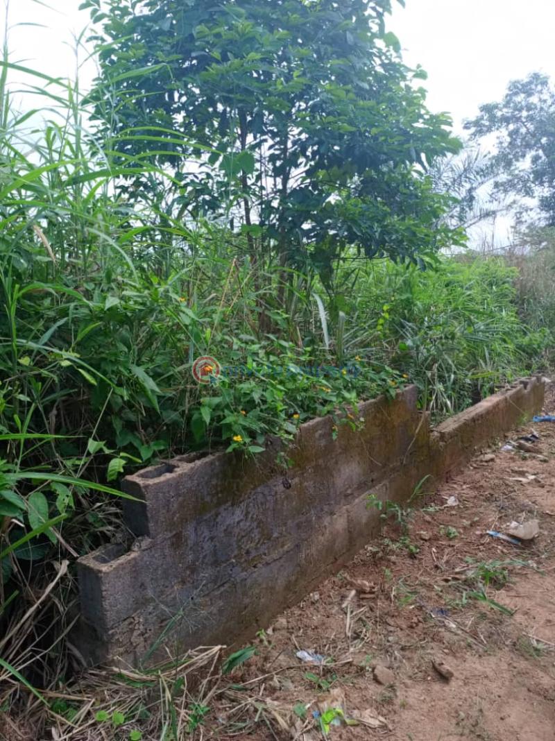 Residential Land For Sale Elepete Phase 2, Igboolomu Isawo Ikorodu Lagos - 1
