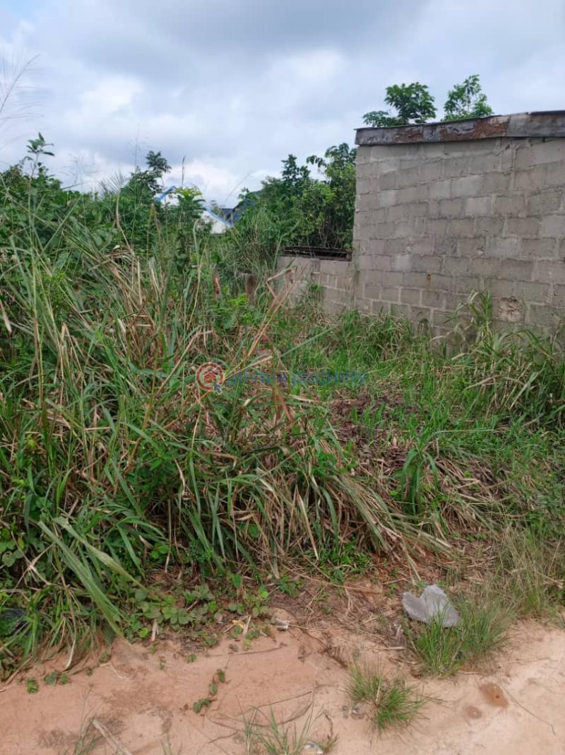 Residential Land For Sale Elepete Phase 2, Igboolomu Isawo Ikorodu Lagos - 0