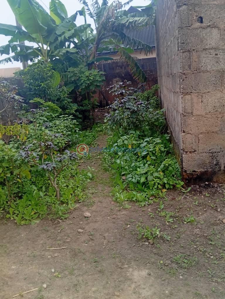 Mixed use Land For Sale Orimerunmu Nasfat Fagbems Lagos Extension Ogun - 2