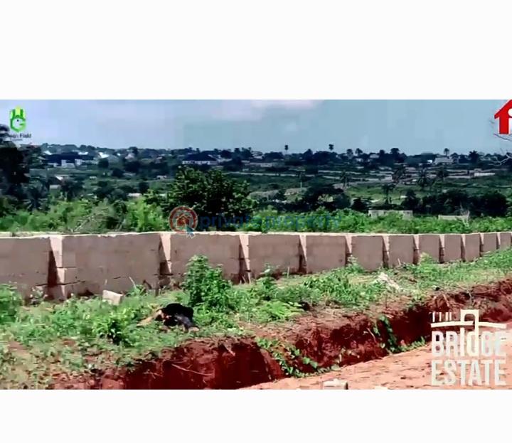 Residential Land For Sale The Blidge Estate Ibusa Road Behind Asaba International Airport Asaba Delta State Asaba Delta - 7