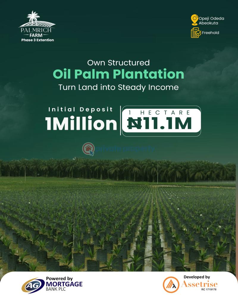 Commercial Land For Sale Palmrich Farm Phase 3 Extension Opeji Odeda Abeokuta Ogun Ogun area 