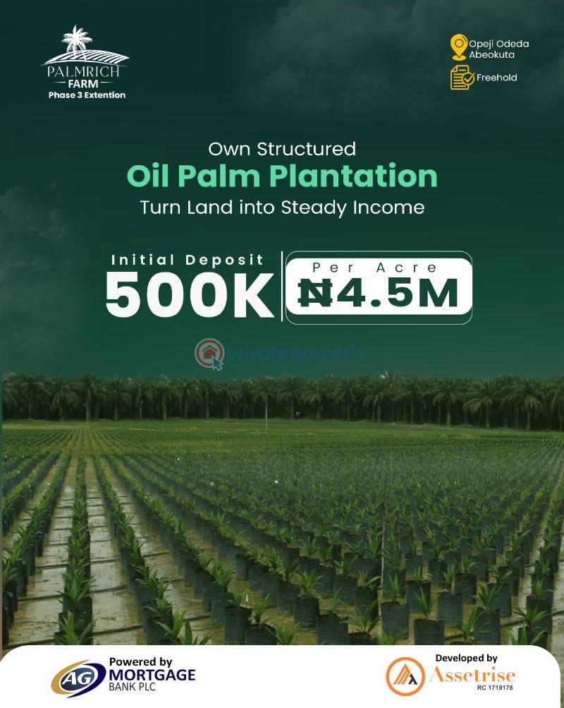 Commercial Land For Sale Palmrich Farm Phase 3 Extension Opeji Odeda Abeokuta Ogun Ogun area 