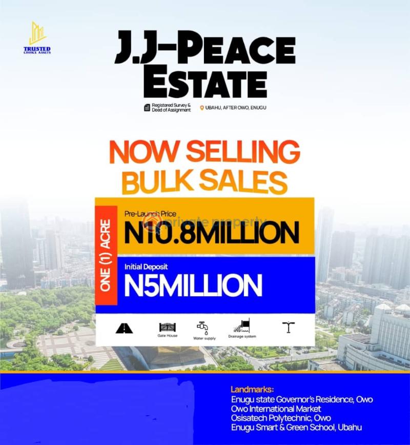 Land for sale in a developed environment - 1 Mixed use Land For Sale J. J Peace Estate At Ubahu After Owo Enugu Area  - 1