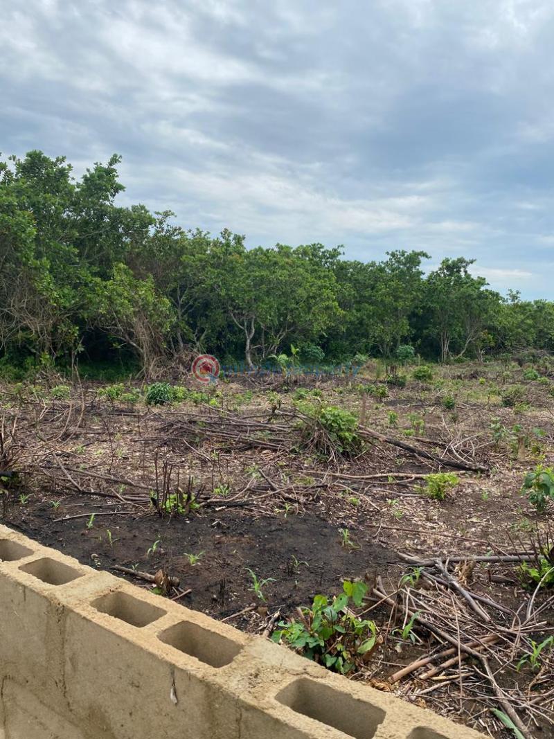 Mixed use Land For Sale Igbodu Lagos Extension Ogun - 7