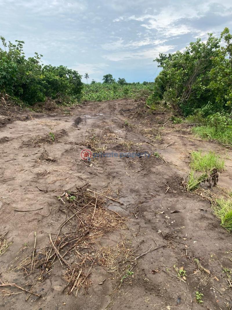 Mixed use Land For Sale Igbodu Lagos Extension Ogun - 15