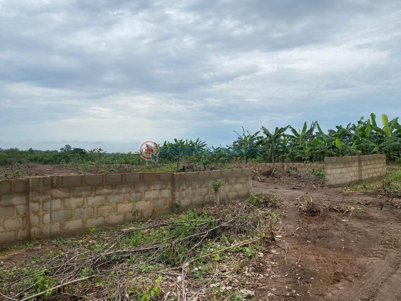 Mixed use Land For Sale Igbodu Lagos Extension Ogun - 2