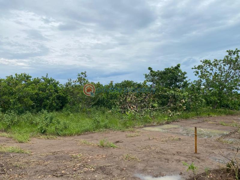 Mixed use Land For Sale Igbodu Lagos Extension Ogun - 12