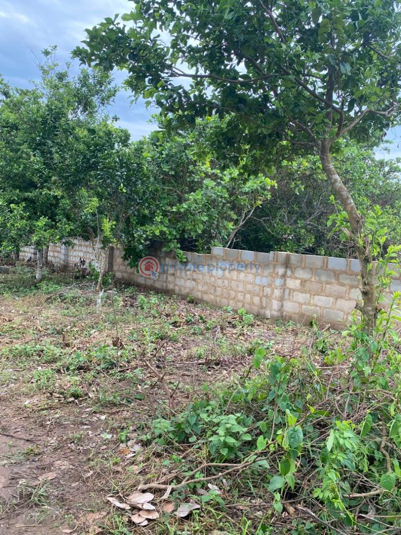 Mixed use Land For Sale Igbodu Lagos Extension Ogun - 0