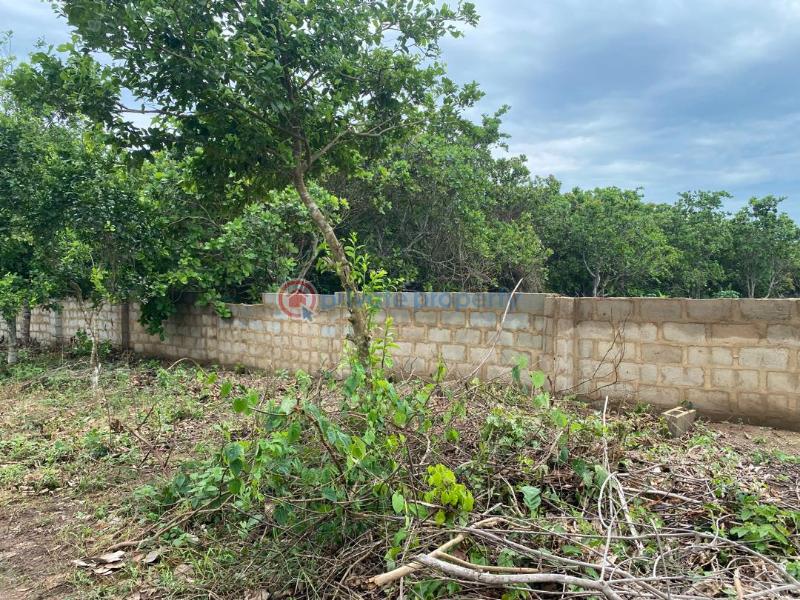 Mixed use Land For Sale Igbodu Lagos Extension Ogun - 6