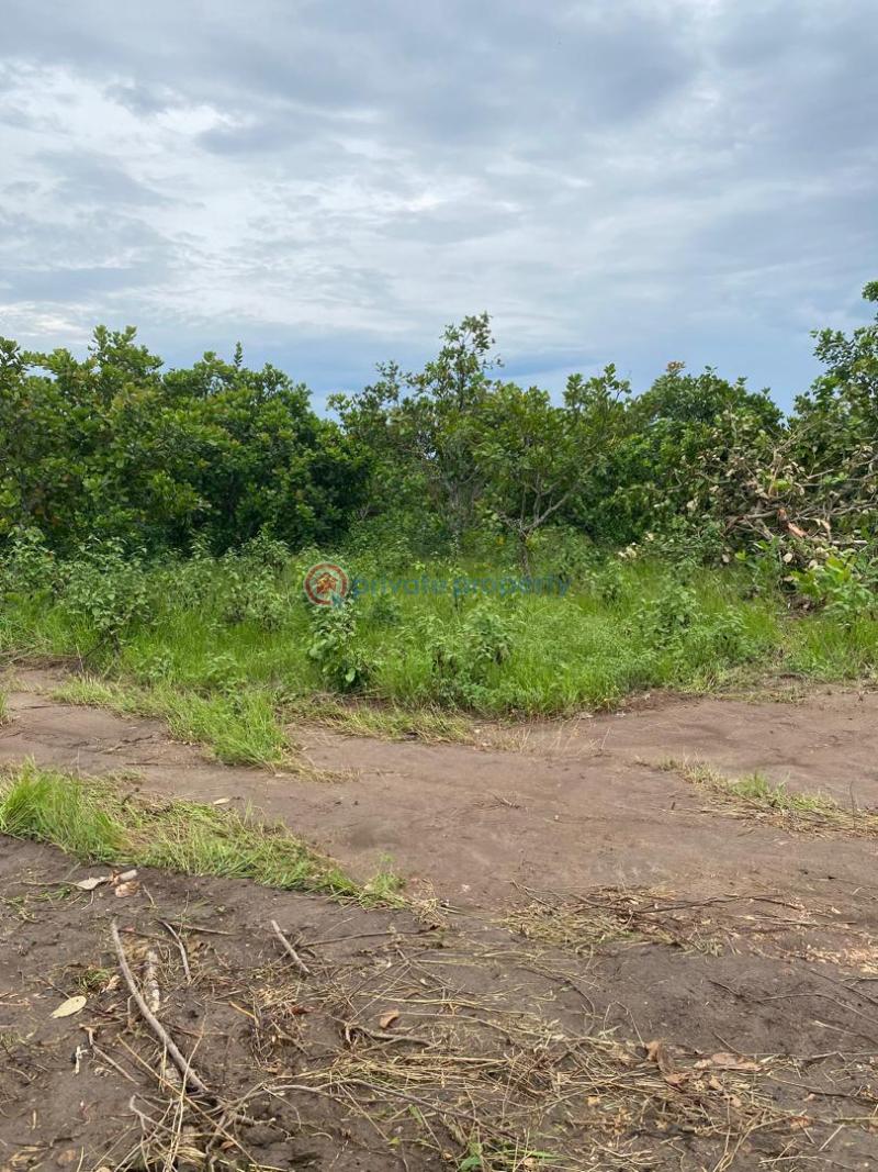 Mixed use Land For Sale Igbodu Lagos Extension Ogun - 13