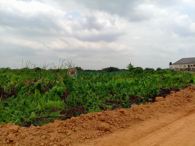 Residential Land For Sale Etheva Court Arepo Arepo Lagos Extension Ogun - 1