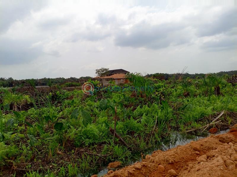 Residential Land For Sale Etheva Court Arepo Arepo Lagos Extension Ogun - 3