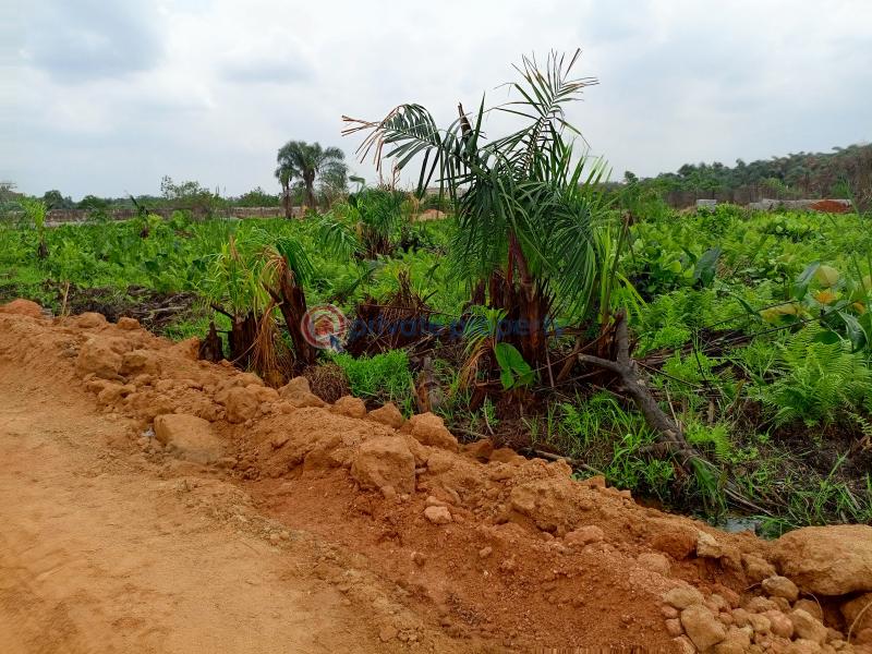 Residential Land For Sale Etheva Court Arepo Arepo Lagos Extension Ogun - 2