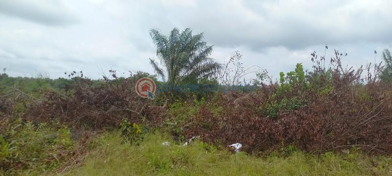 Land For Sale Coral City Ember Estate Elerangbe Ibeju Lekki Lagos Eleran Igbe Ibeju-Lekki Lagos - 21