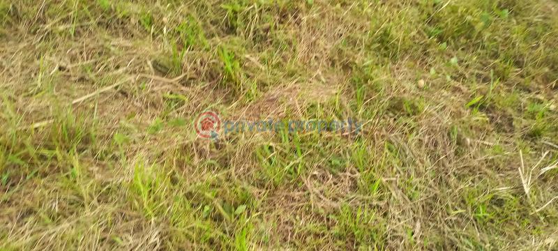 Land For Sale Coral City Ember Estate Elerangbe Ibeju Lekki Lagos Eleran Igbe Ibeju-Lekki Lagos - 10