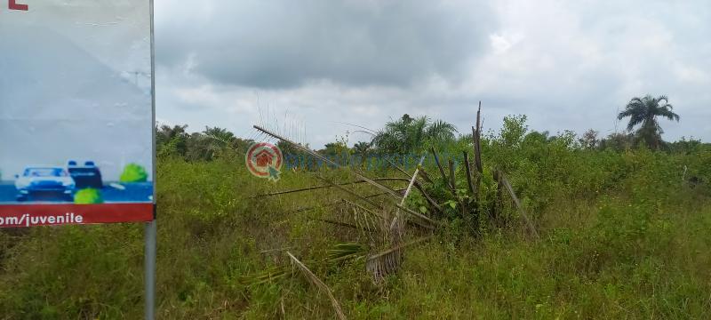 Land For Sale Coral City Ember Estate Elerangbe Ibeju Lekki Lagos Eleran Igbe Ibeju-Lekki Lagos - 5