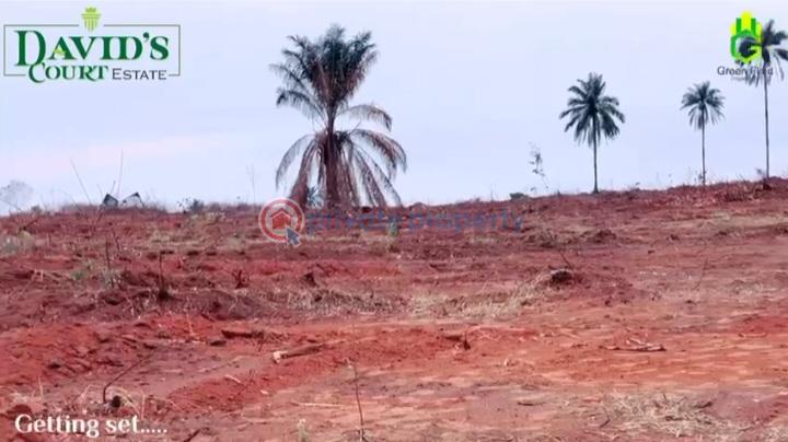 Residential Land For Sale David’s Court Estate By Ibusa Bypass Road Asaba Delta State Asaba Delta - 3