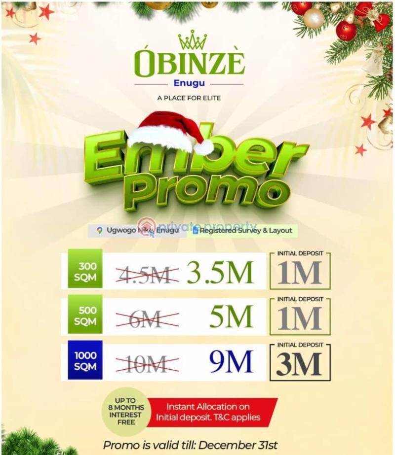 Residential Land For Sale Obinze Estate Ngwogo Nike Enugu Enugu Area  - 0