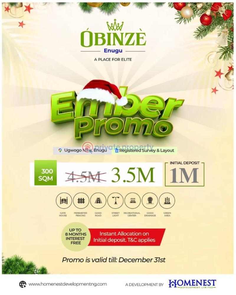 Residential Land For Sale Obinze Estate Ngwogo Nike Enugu Enugu Area  - 0
