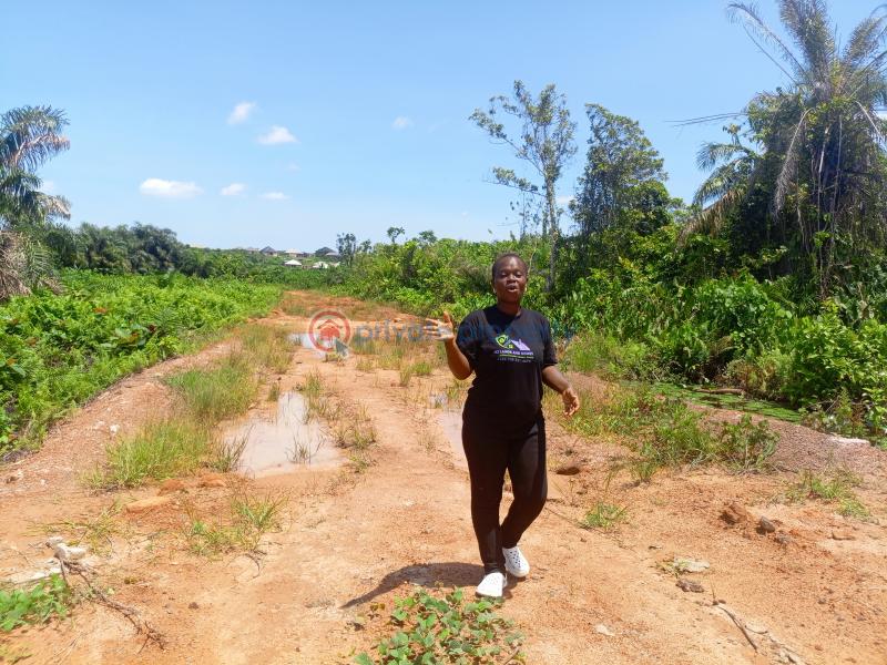 Residential Land For Sale The Bright City Odo Egiri Epe Epe Lagos - 0