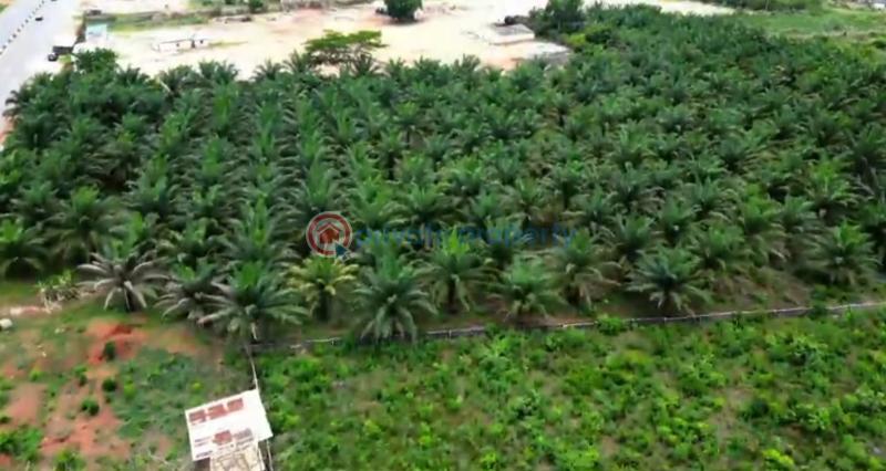 Mixed use Land For Sale Green Palm Estate Asaba Warri Expressway Asaba Delta - 0
