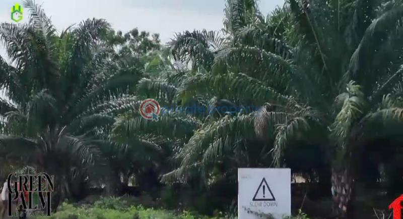 Mixed use Land For Sale Green Palm Estate Asaba Warri Expressway Asaba Delta - 4