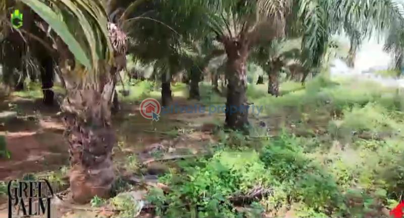 Mixed use Land For Sale Green Palm Estate Asaba Warri Expressway Asaba Delta - 3