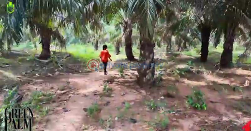Mixed use Land For Sale Green Palm Estate Asaba Warri Expressway Asaba Delta - 5