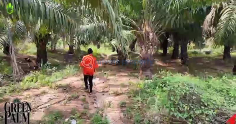 Mixed use Land For Sale Green Palm Estate Asaba Warri Expressway Asaba Delta - 7