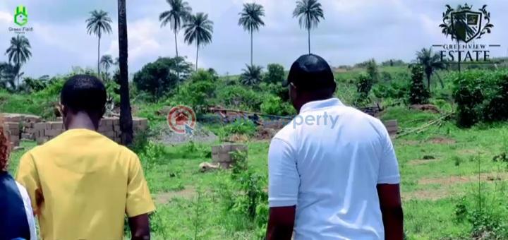 Residential Land For Sale Green View Estate By Admiralty Drive Ibusa Bypass Road Asaba Asaba Delta - 8